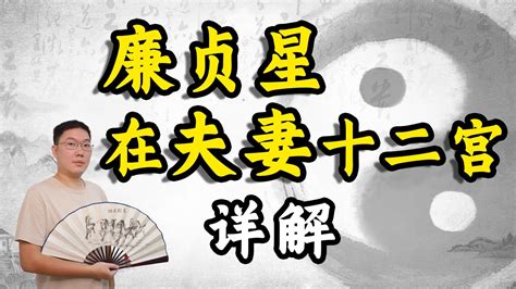 廉貞名人|紫微斗数：廉贞星详解